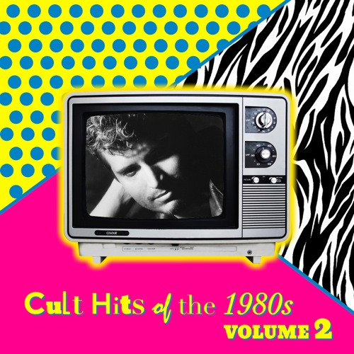 web_Cult Hits of the 1980s Vol 2_Various_2013