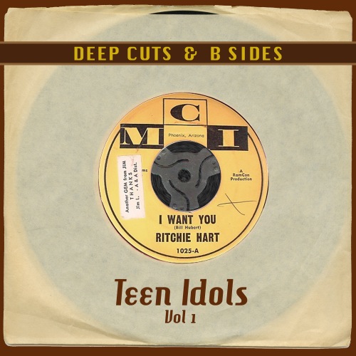 web_Deep Cuts B Sides Teen Idols voll 1_Various_2015