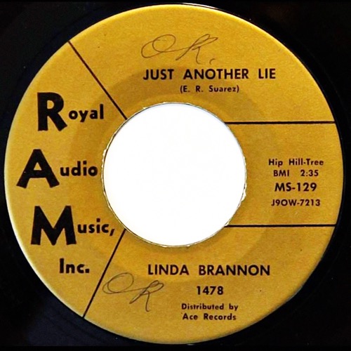 web_Just Another Lie_Linda Brannon_2018
