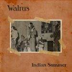 web_WalrusIndianSummer