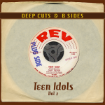 Deep Cuts B Sides Teen Idols Vol 2_Various_2015