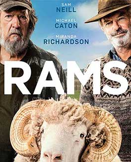 Rams Credit Poster