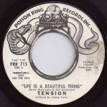 Life-Is-A-Beautiful-Thing by Tension 45 Label