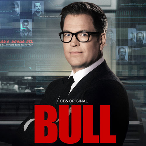 Bull-S6-poster