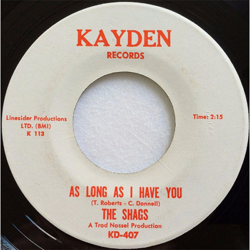 As Long As I Have You The Shags Album