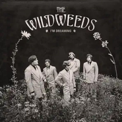 I'm Dreaming by The Wildweeds Album Cover