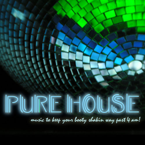 Pure House_2 Da Groove Album Cover