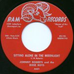 Sitting Alone in Moonlight by Johnny Roberts and the Dixie Boys 45 Label