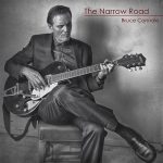 The Narrow Road by Bruce Connole Album Cover