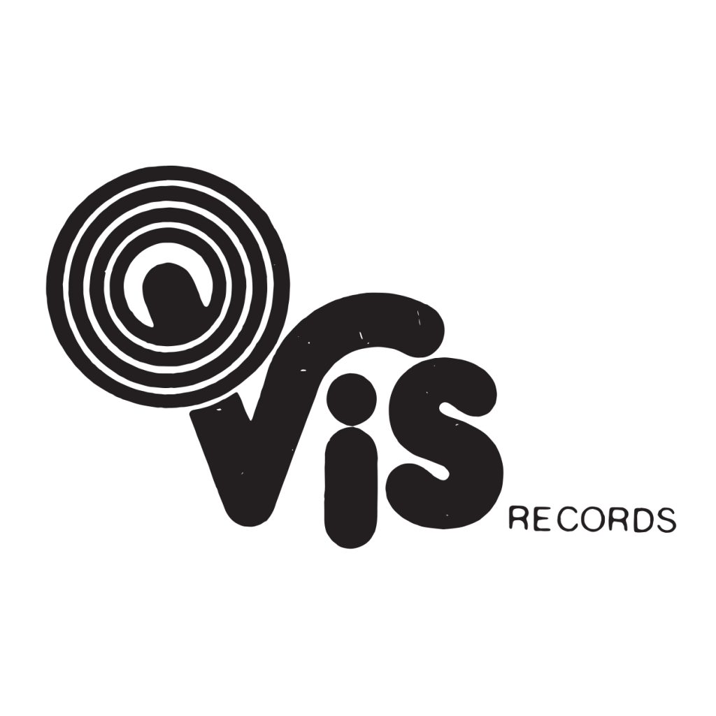 Vis Logo