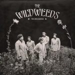 Im-Dreaming-by-The-Wildweeds-Album-Cover