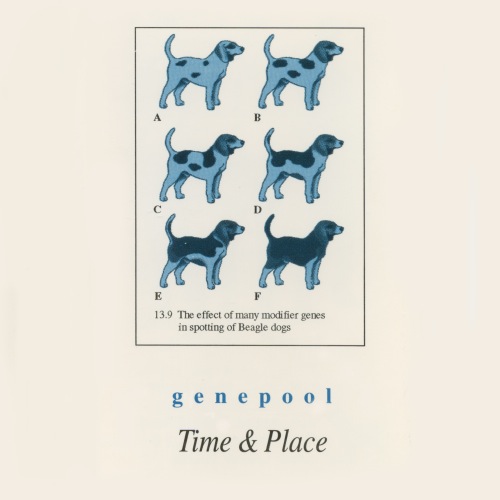 Time-Place_genepool_2016