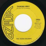 The Sedum Shadows - Thinking Away