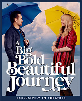A-Big-Bold-Beautiful-Journey-Credit-Poster