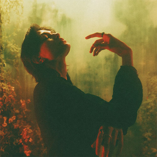 Person with medium-length hair poses dramatically in soft, moody lighting, surrounded by a hazy, greenish background with foliage and warm tones—an image evocative of the "Hypersensitivity by Faun Flora 2026 Vinyl Release" aesthetic.